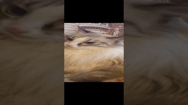 07-10-2024