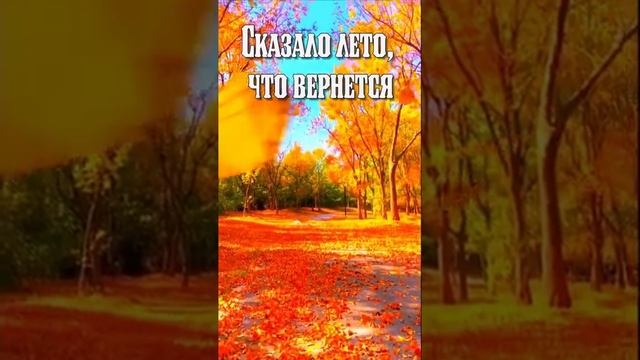 Осень, ты как там???  #видеоткрытки #любовьlife #юмор