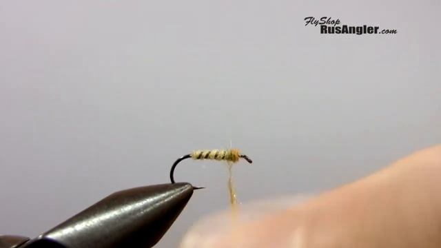 Fly Tying Wet Fly "P.M.D Soft Hackle"