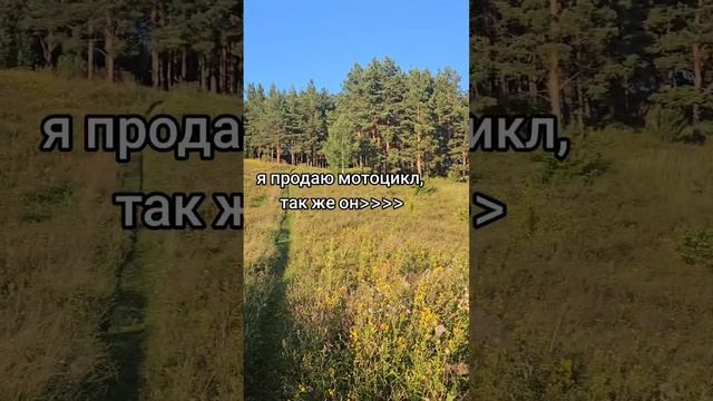 печалька:(