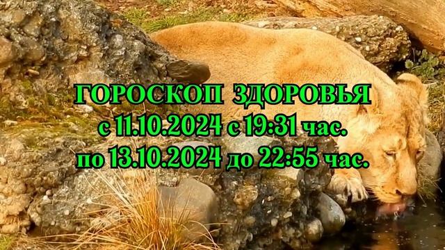 "ГОРОСКОП ЗДОРОВЬЯ с 11 по 13 ОКТЯБРЯ 2024 года!!!"