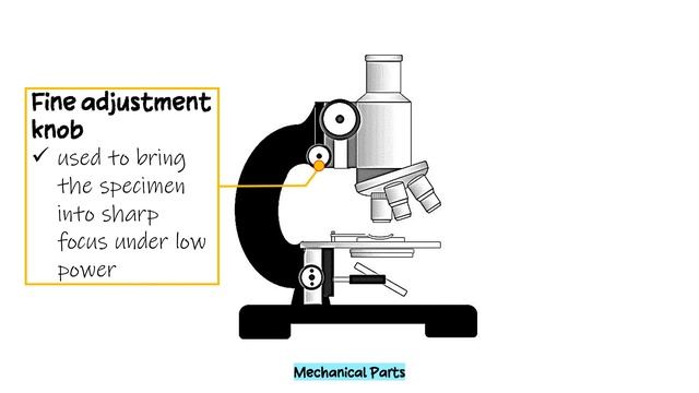 Parts of a Microscope and Their Functions | Simple Animation