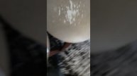 Чарли Чарли ты здесь?