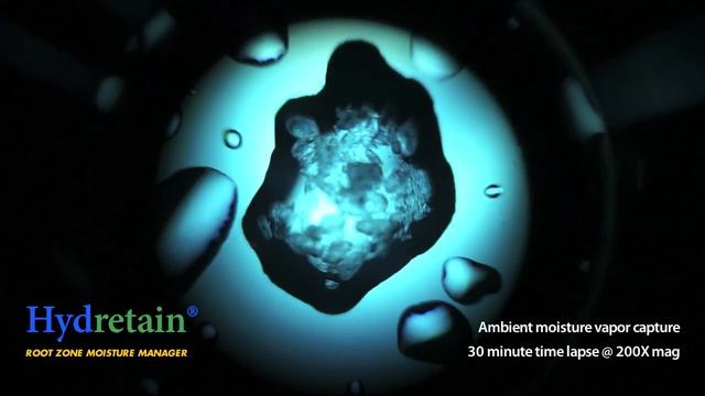 Hydretain® Crystal 200X Microscope footage