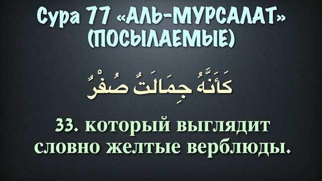 Сура 77 аль-Мурсалат (арабские и русские титры) - Мухаммад Люхайдан