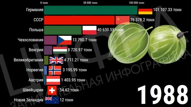Место СССР/России по производству крыжовника (1961-2019) [ИНФОГРАФИКА]
