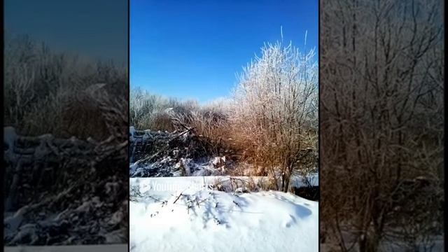 Зима в Ростове 15_12_2016