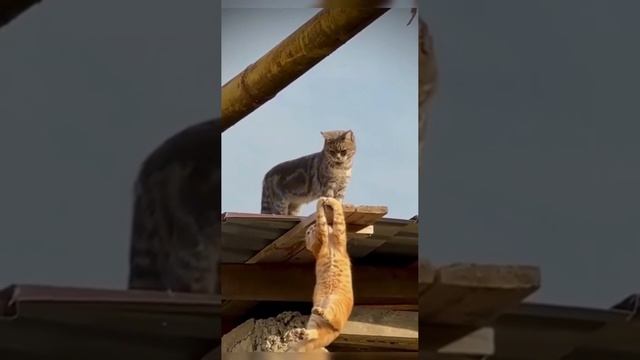 Фантомас