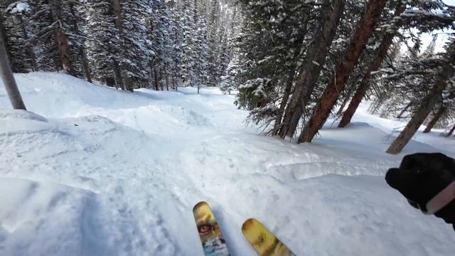 Some Eagle Wind trees down to traverse