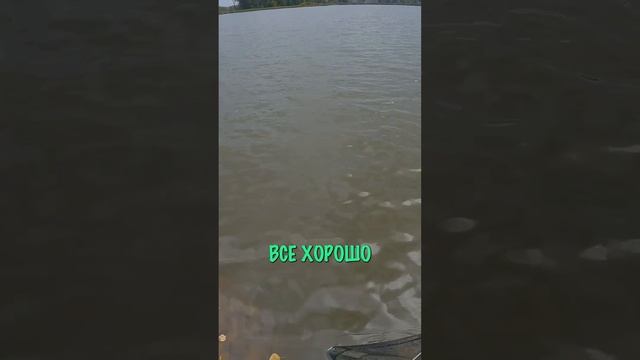 вытянули ОГРОМНОГО КАРПА