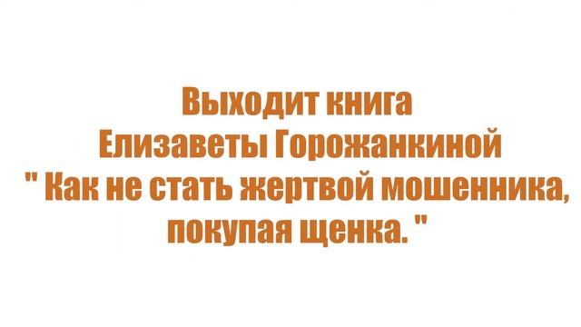 "Как не стать жертвой мошенников, покупая щенка" - презентация книги Е. Горожанкиной