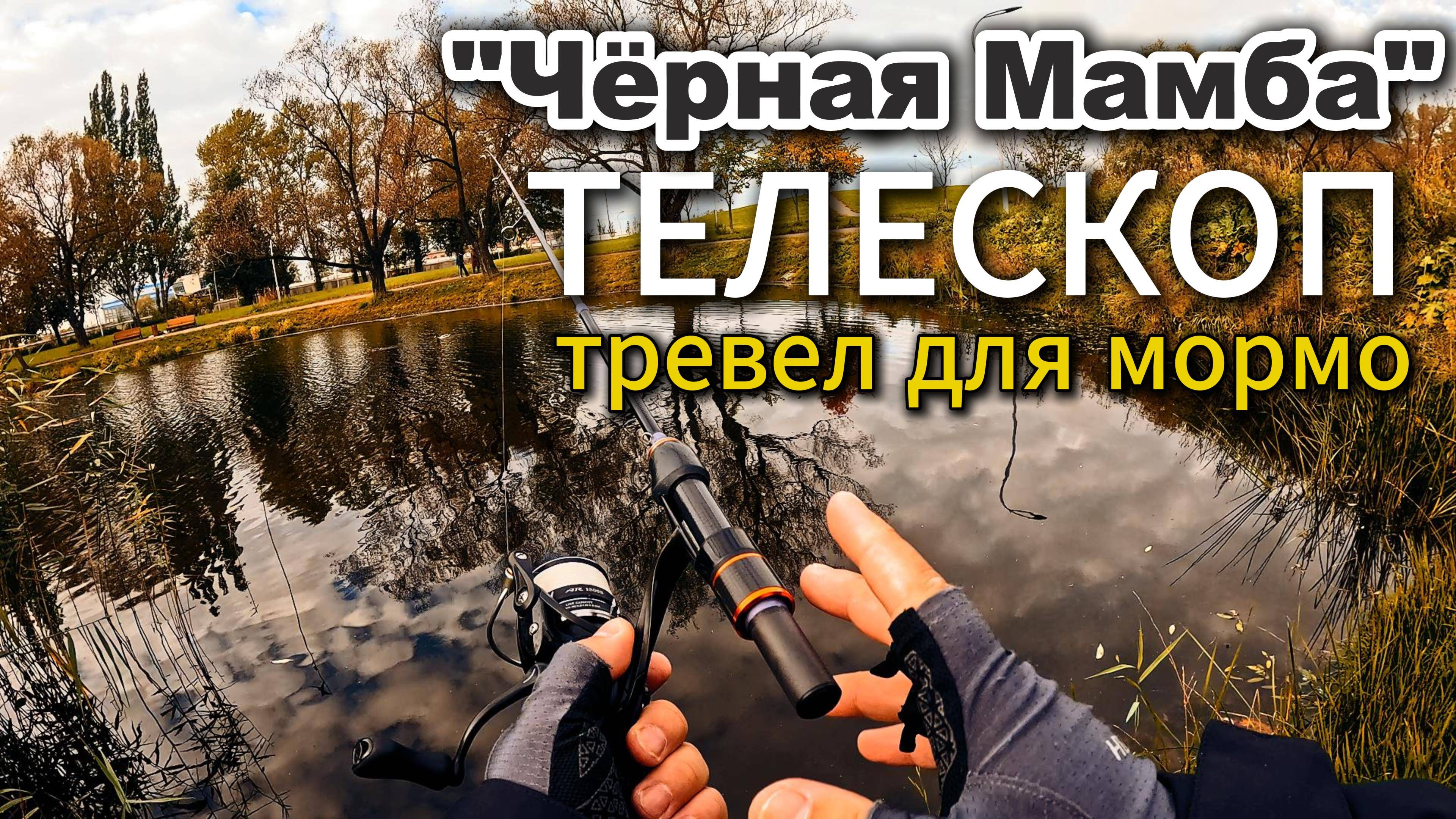 Ловлю РОТАНА в Осеннем парке. Мормотелескоп "Черная мамба" #микроджиг #стритфишинг #fishing