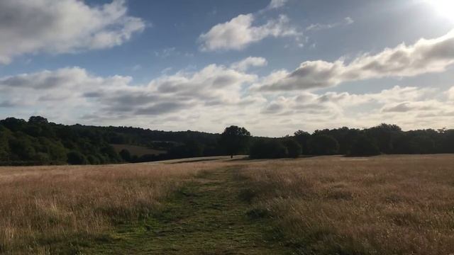 Mindful Mornings: Summer in Britain 2020 |  Monken Hadley Common and Trent Country Park