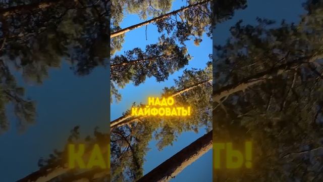Игорь Всемогущий - Надо кайфовать 🔥
На всех площадках 🫂
