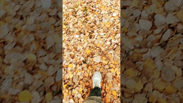 #осень