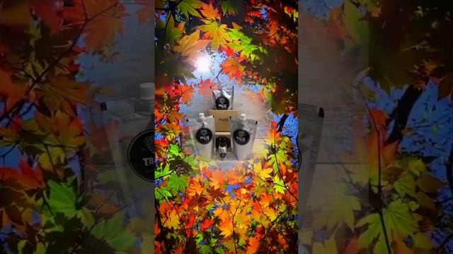 1000076325.mp4