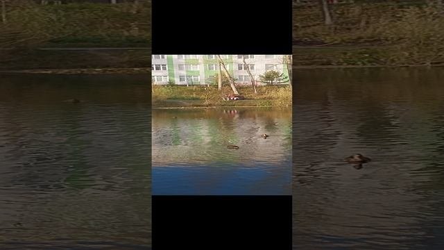 1000298112.mp4