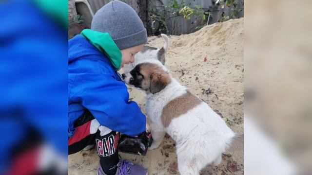 "Наши любимые питомцы"😍, младшая группа №2" Карапузики"👼,
Шавлова С. И и Шушура Л. А.👍