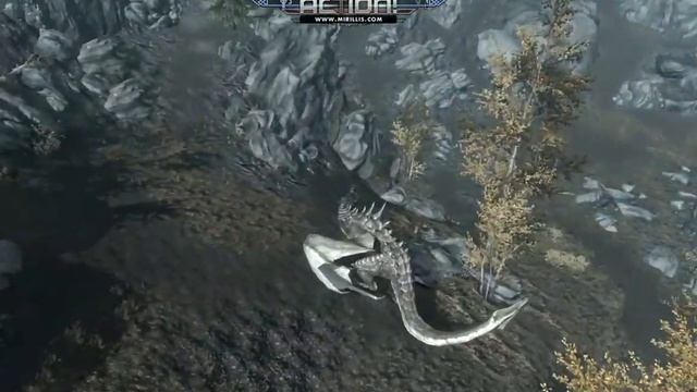 как летать на драконе в skyrim