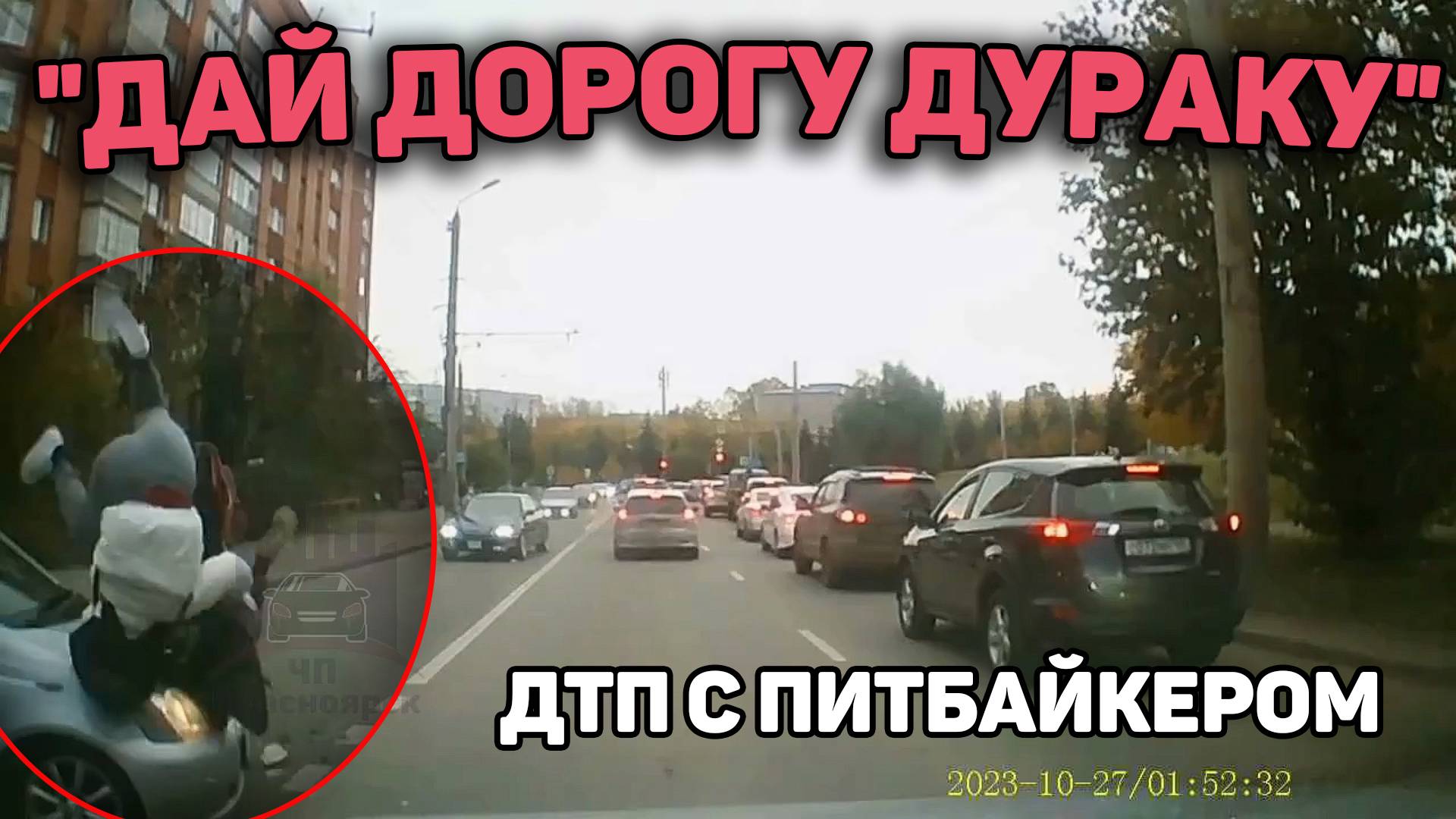 Автоподборка "Дай Дорогу Дураку"🏍️ДТП С Питбайкером