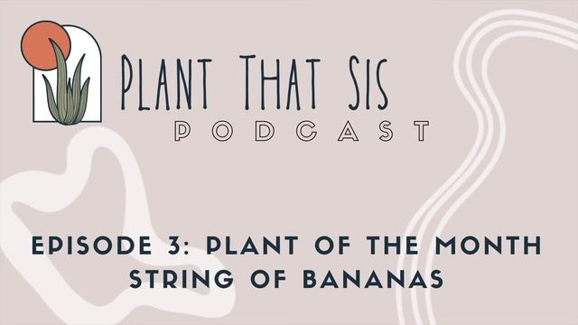 Plant That Sis Podcast - Episode 3: Plant of the Month - String of Bananas