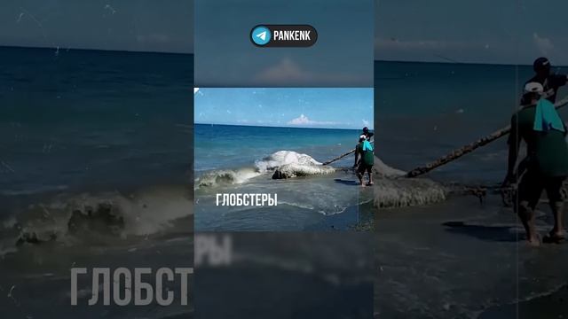 Глобстеры, что это такое?