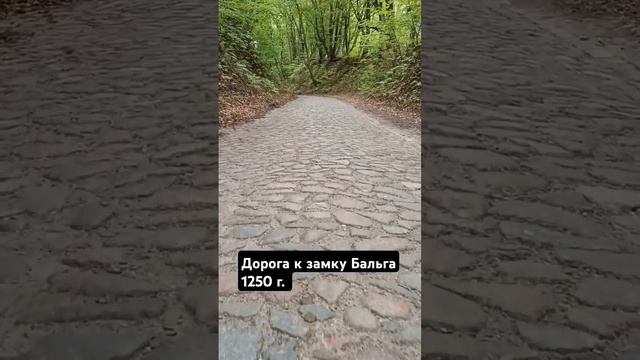 Брусчатая дорога к замку Бальга 1250г #castle #history #road #калининградскаяобласть