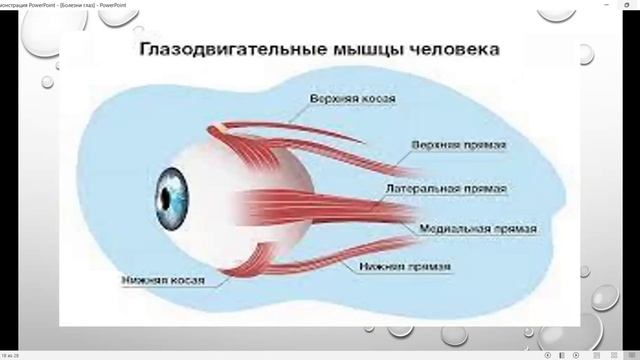 Здоровье глаз с драже APL