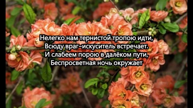 Если скорбь и печаль у тебя на душе