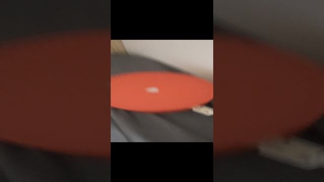 Я люблю свою кошку и собаку