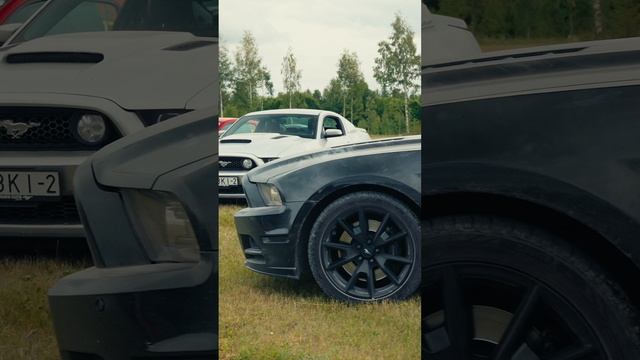 Тизер Roadshow 2024 "Псковская экспедиция" - Russain Mustang Club