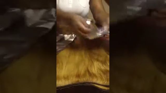 Bellissima virgin hair coloring