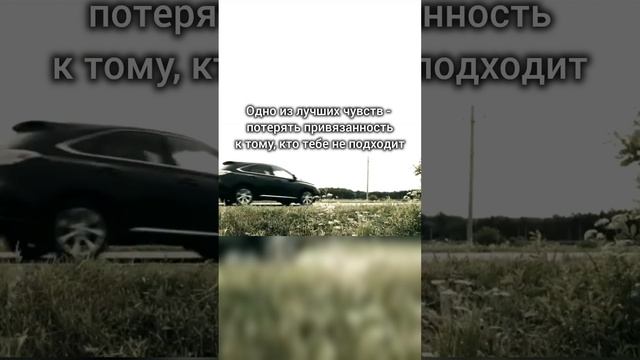 Одно из лучших чувств - потерять привязанность к тому, кто тебе не подходит

#linanox #порауходить