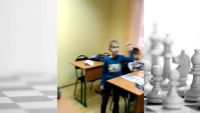 Шахматы