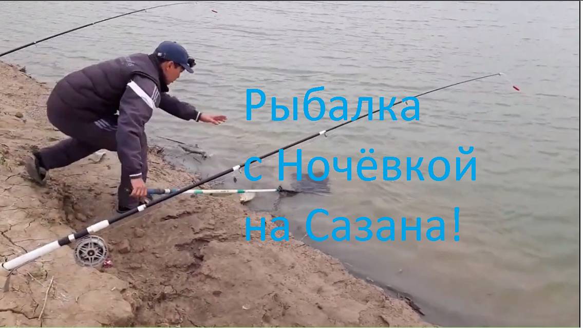 Рыбалка с ночёвкой на сазана. Бешеный клёв на удочку на реке. Улов на подсак, удачная ловля рыболова