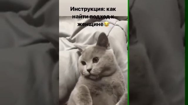 как найти подход к женщине