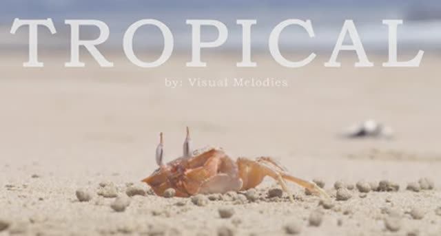 Tropical Music Video with Beautiful Beach Travel Destinations ｜ Music for Office or Home