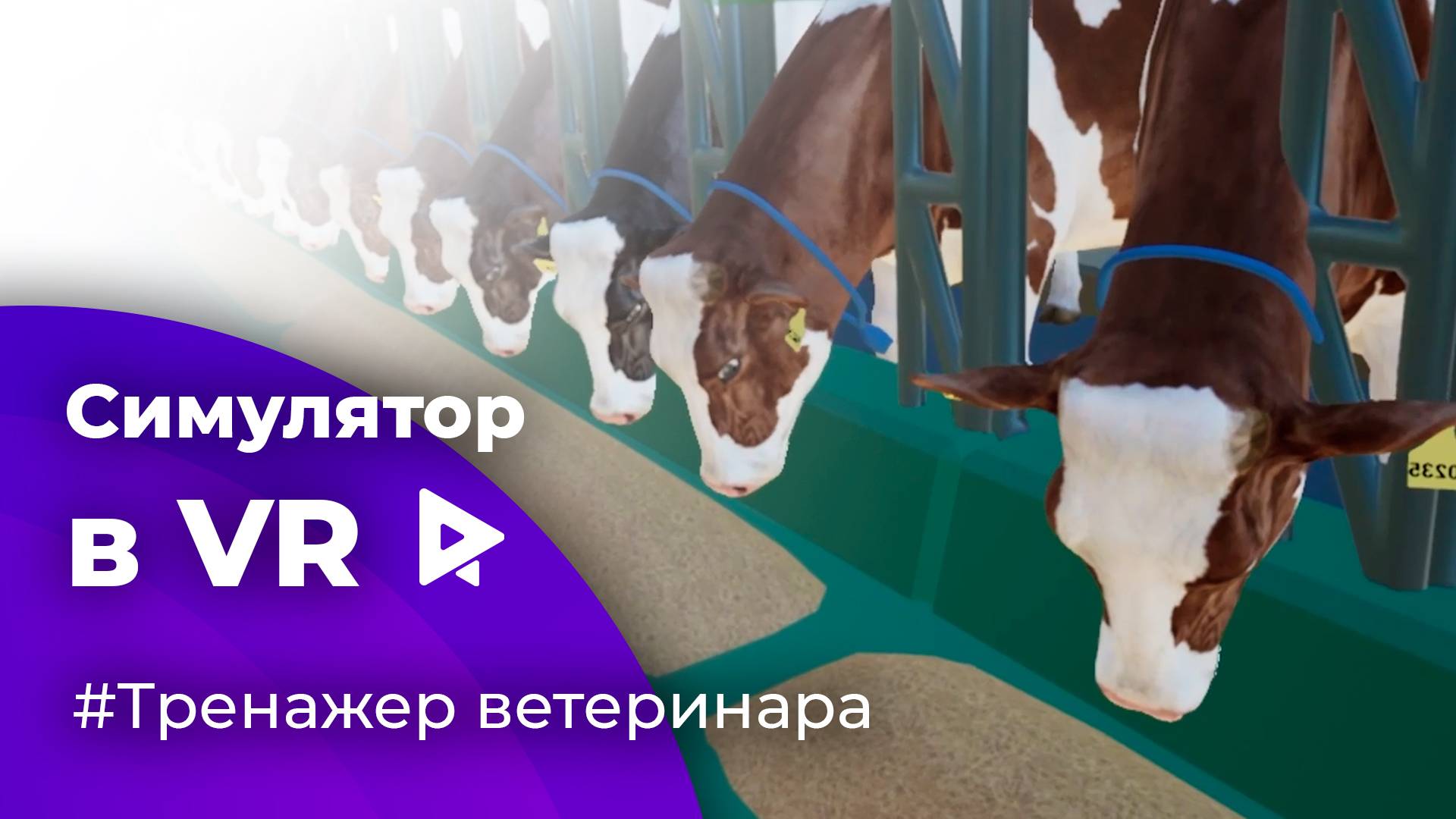 Симулятор в виртуальной реальности (VR) Тренажер ветеринара