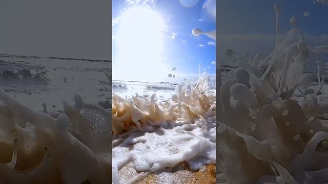 Релакс, пена морская