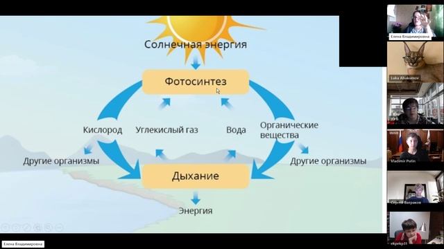 5_8.10_Б_Жизнь клетки