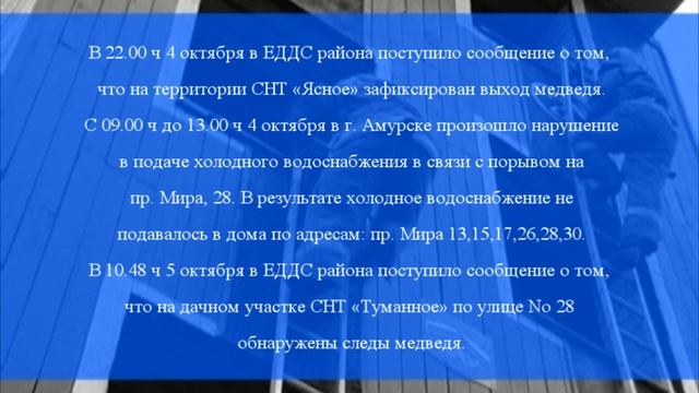 Оперативная обстановка на территории Амурского муниципального района
с 30 сентября по 6 октября 2024