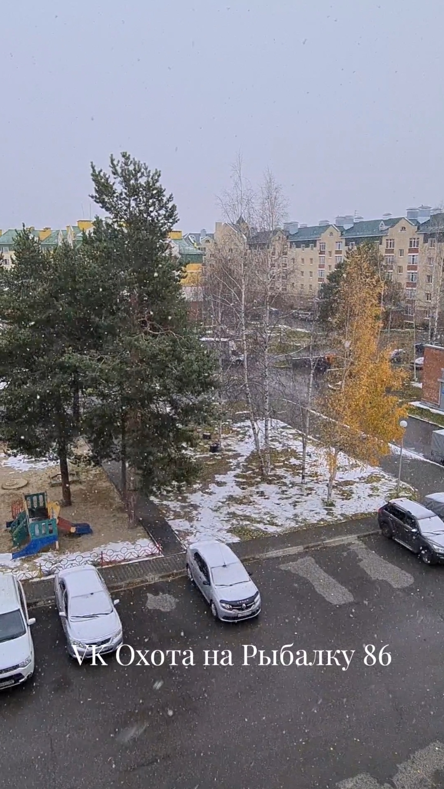 ПЕРВЫЙ СНЕГ #снег #сибирь #рыбалка #зима