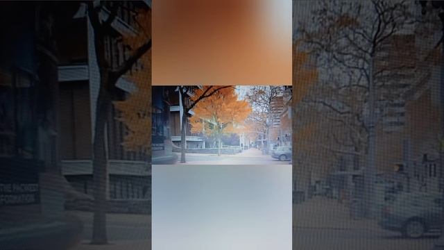 почему люди разучились БЛАГОДАРИТЬ?