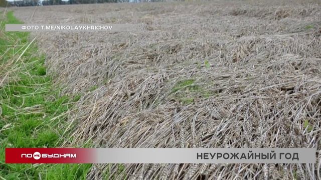 Проблемы со сбором урожая возникли сразу в нескольких районах Иркутской области