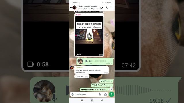 как сделать обои WhatsApp