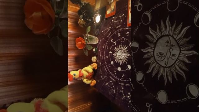 НОВЫЕ ОТНОШЕНИЯ, А ВЫ ГОТОВЫ _