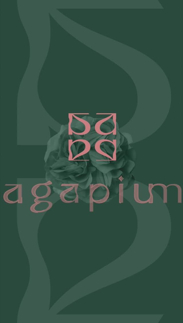 Презентация для привлечения инвестиций — Agapium