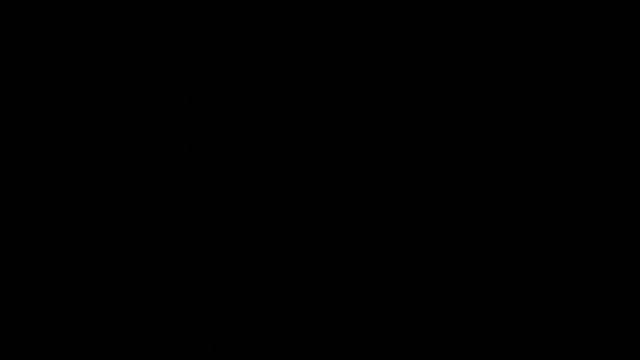 1000001920.mp4