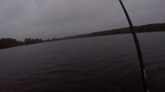 🚤🎣🌧️