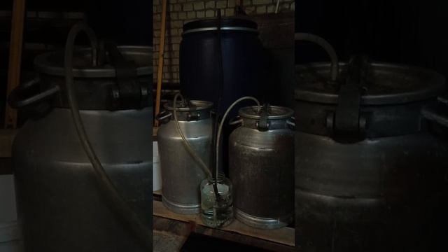 Скорострельная брага